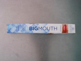 BRILLO LABIAL VOLUMINIZADOR BIG MOUTH
