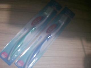 CEPILLO DENTAL NOBEL LIFE X UNID