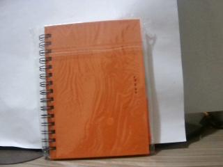 AGENDA CON BOLIGRAFO  NARANJA
