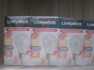 FOCO 60W X UNID LUMINOUS 