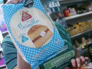 BIZCOCHUELO DE VAINILLA EN BOLSA 540GR