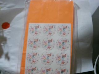 BOLSA DE CARTON X10UN 24X13CM NARAN