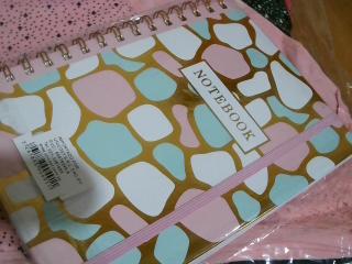 AGENDA CON DISEÑO 100 HOJAS