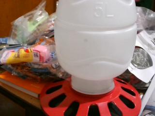 BEBEDERO DE PLASTICO PARA AVES 5LTS C/ROSCA