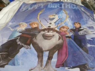 BOLSO DE CARTON 21X15CM X12UN FROZEN 