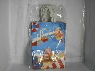 BOLSO DE CARTON 21X15CM X12UN PARTY SUM 