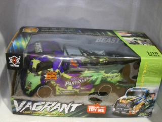 CAMION A CONTROL VAGRANT 