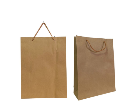 BOLSO CARTON 19X25 X12 RC-26-1017 CHICO